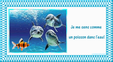 dauphin