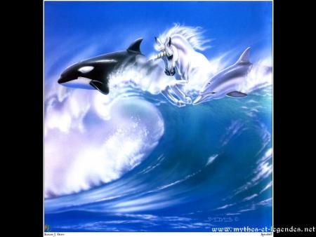 orque/cheval/dauphin