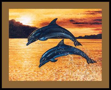 dauphin