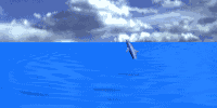 dauphin