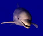dauphin